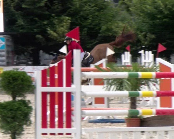 Reitturnier Balsthal 2024