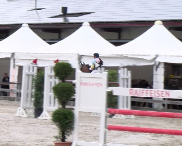 Reitturnier Balsthal 2024