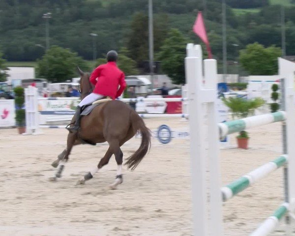Reitturnier Balsthal 2024