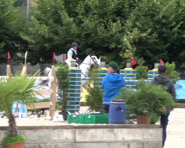 Reitturnier Balsthal 2024