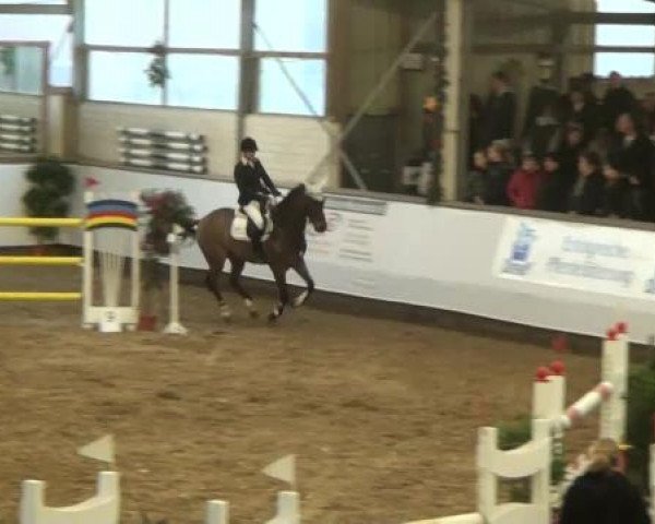 20. Winter Hallen Reit- und Springturnier RFV Alt-Marl 28.-30.12.2012