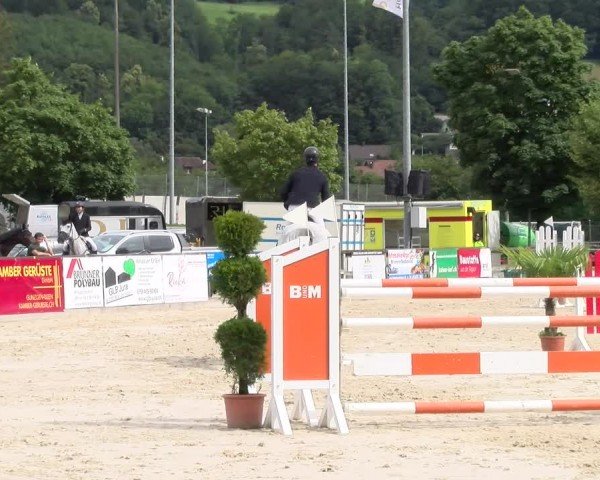 Reitturnier Balsthal 2024