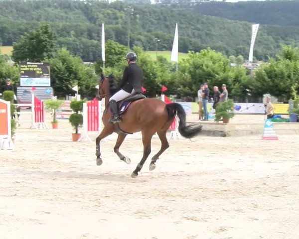 Reitturnier Balsthal 2024