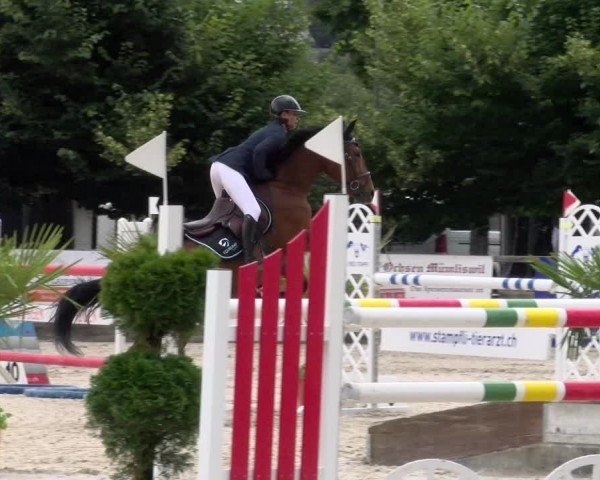Reitturnier Balsthal 2024