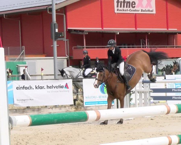 Reitturnier Balsthal 2024