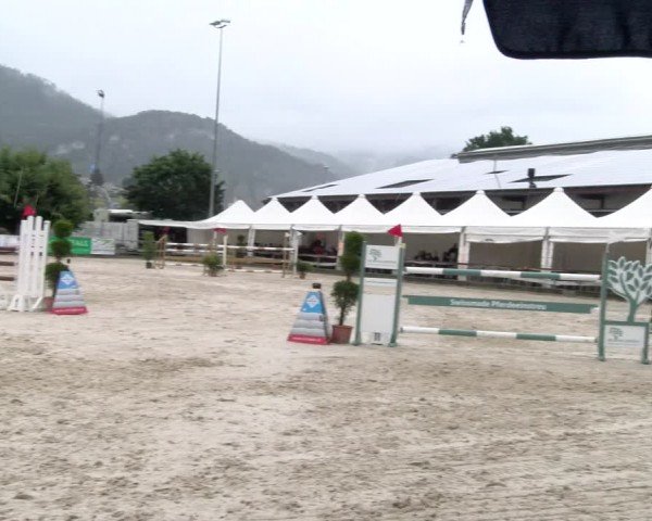 Reitturnier Balsthal 2024
