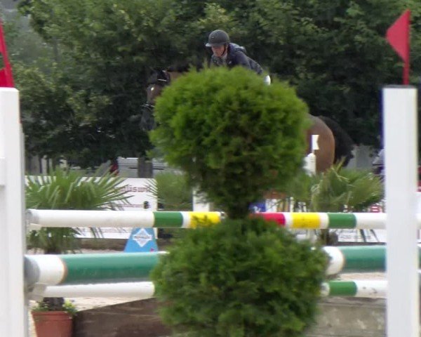 Reitturnier Balsthal 2024