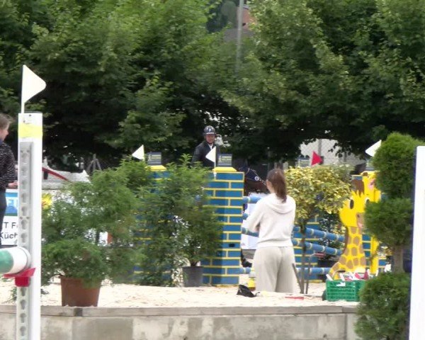Reitturnier Balsthal 2024