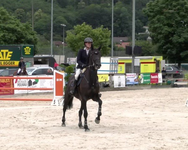 Reitturnier Balsthal 2024