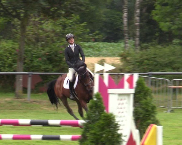 Reitturnier Delbrück-Ostenland 2024