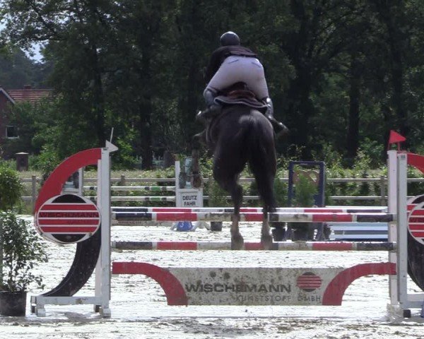 Reitturnier Metelen 2024