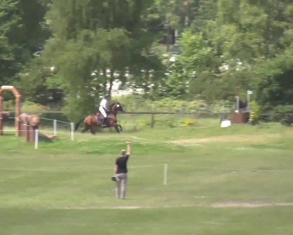 Reitturnier Luhmühlen 2024