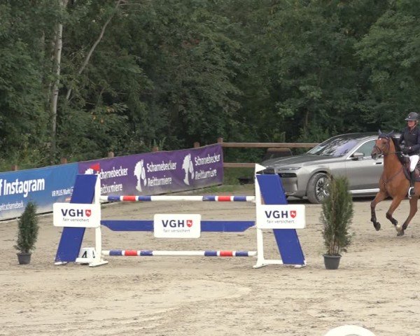 Reitturnier Scharnebeck 2024