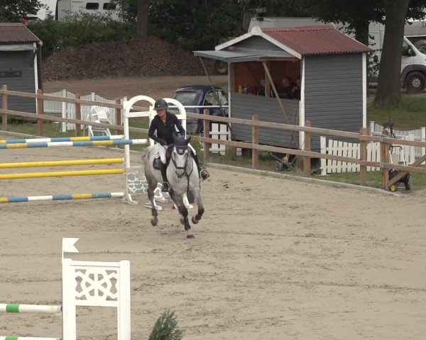 Reitturnier Scharnebeck 2024