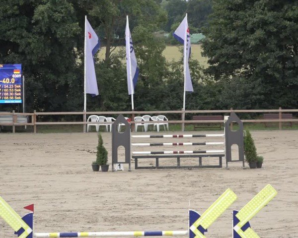 Reitturnier Scharnebeck 2024