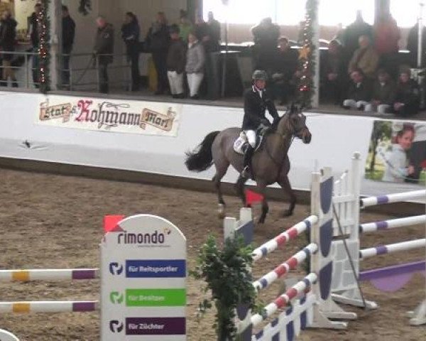 20. Winter Hallen Reit- und Springturnier RFV Alt-Marl 28.-30.12.2012
