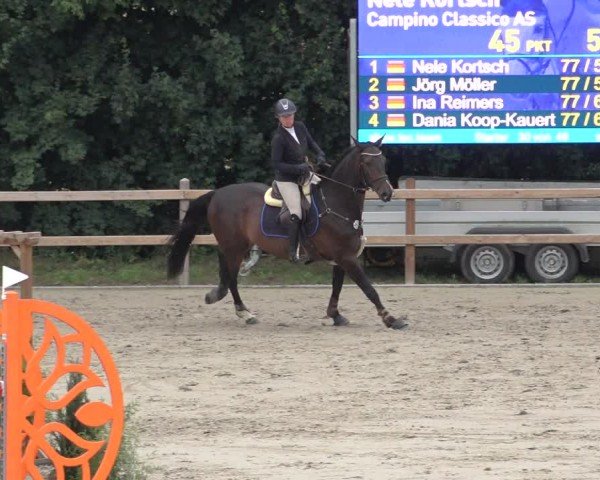 Reitturnier Scharnebeck 2024