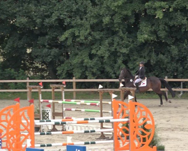 Reitturnier Scharnebeck 2024