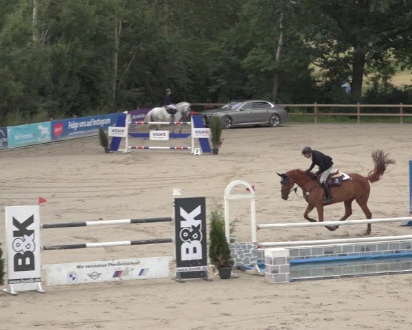 Reitturnier Scharnebeck 2024