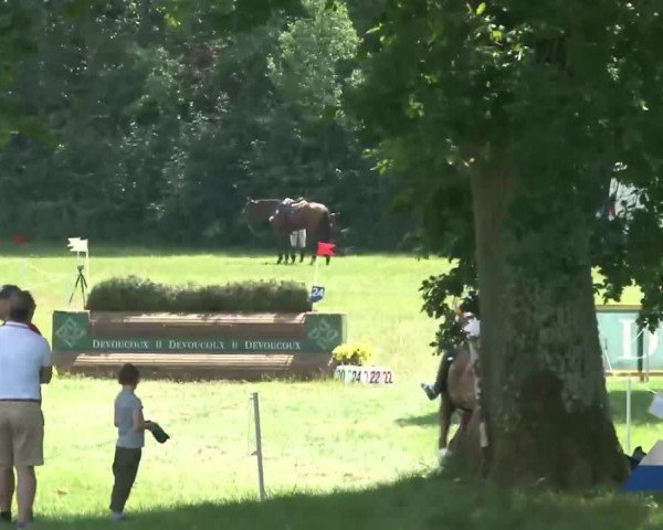 Reitturnier Luhmühlen 2024