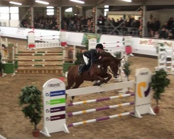 20. Winter Hallen Reit- und Springturnier RFV Alt-Marl 28.-30.12.2012