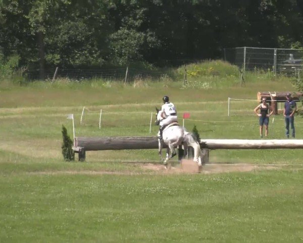 Reitturnier Luhmühlen 2024