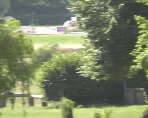 Reitturnier Luhmühlen 2024