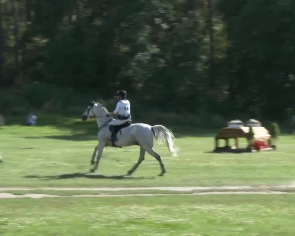 Reitturnier Luhmühlen 2024