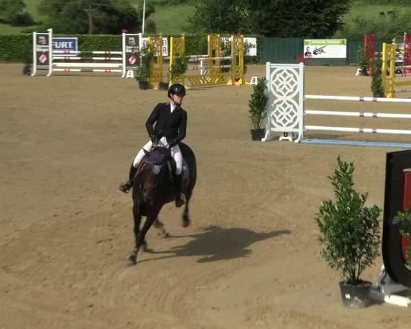 Jezdecký turnaj Lindlar-Süttenbach 2024