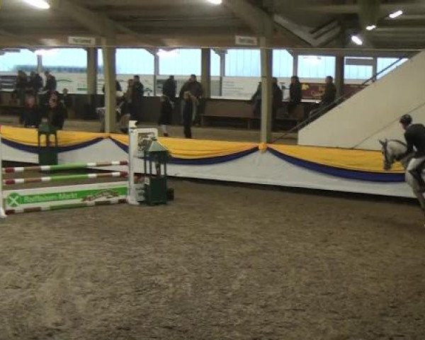 Reitturnier Vreden 2013