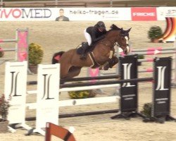 jumper Cassilia 6 (Hanoverian, 2013, from Cassillias)