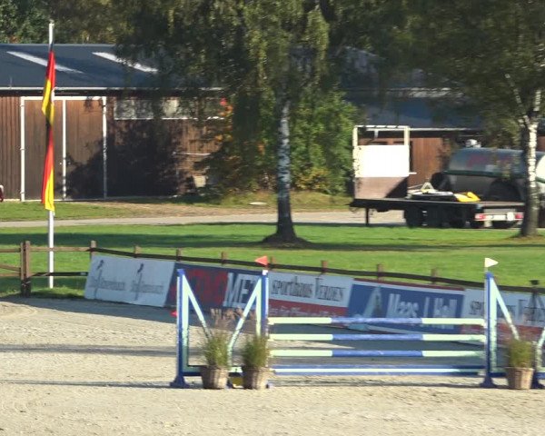 Reitturnier Westergellersen 2021