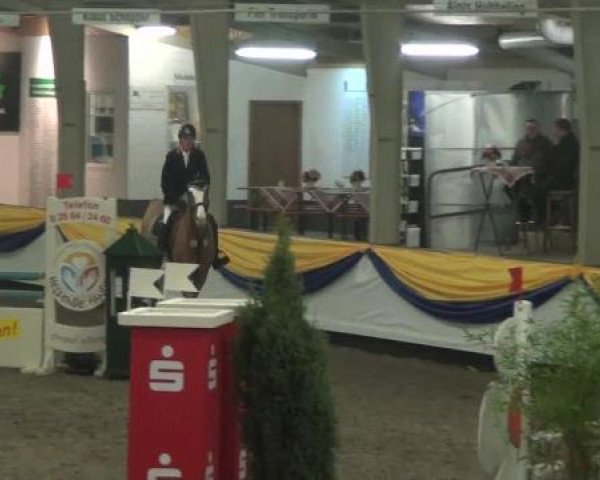 Reitturnier Vreden 2013