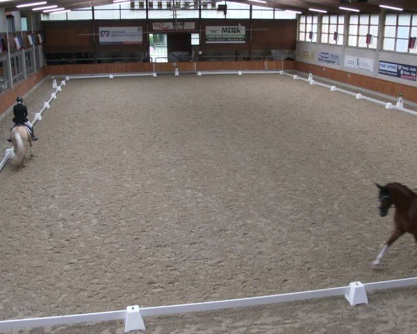 Reitturnier Delbrück-Ostenland 2024