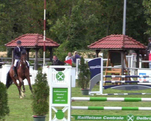 Reitturnier Delbrück-Ostenland 2024