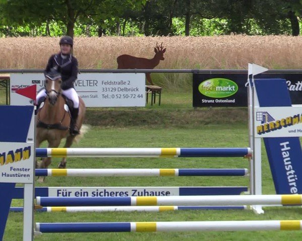Reitturnier Delbrück-Ostenland 2024