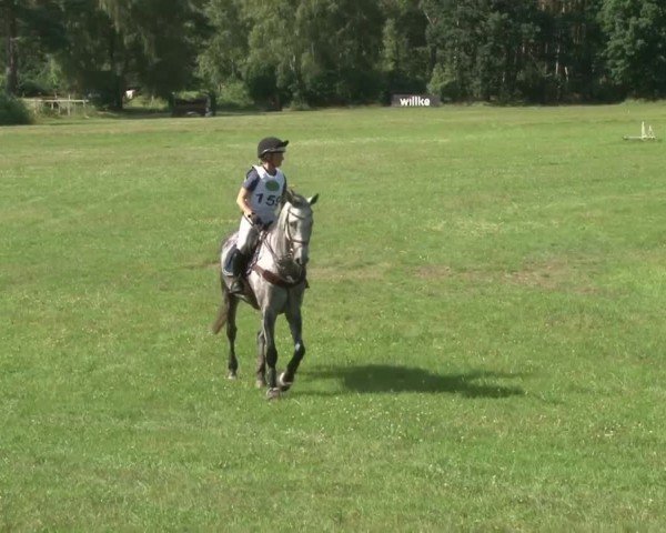 Reitturnier Luhmühlen 2024