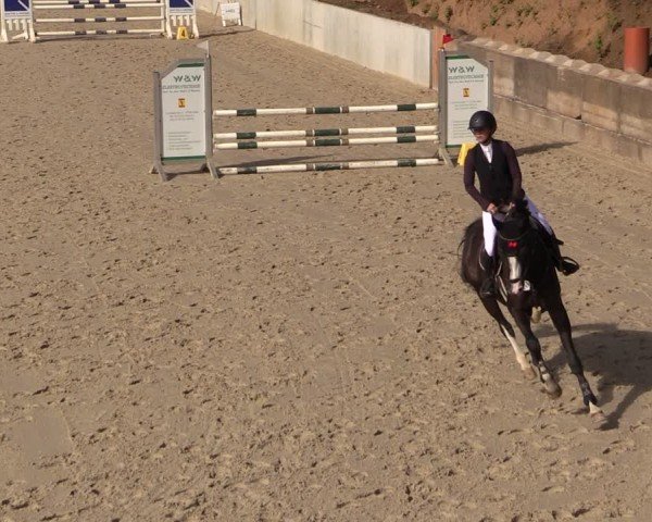 Reitturnier Uder, Reitanlage Kobold 2024