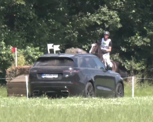 Reitturnier Luhmühlen 2024