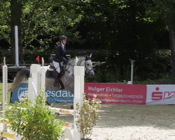 Reitturnier Heddesheim 2024