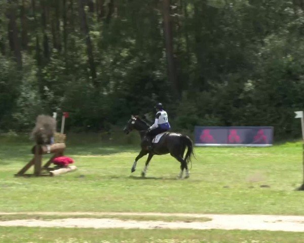 Reitturnier Luhmühlen 2024