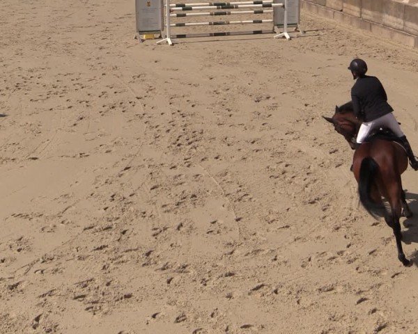 Reitturnier Uder, Reitanlage Kobold 2024