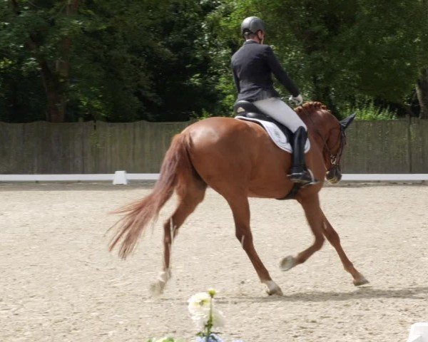 Jezdecký turnaj Heddesheim 2024