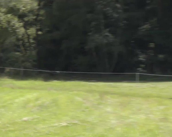 Reitturnier Luhmühlen 2024