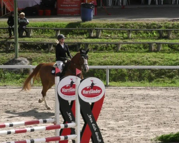 Torneo Equestre Adelebsen 2024