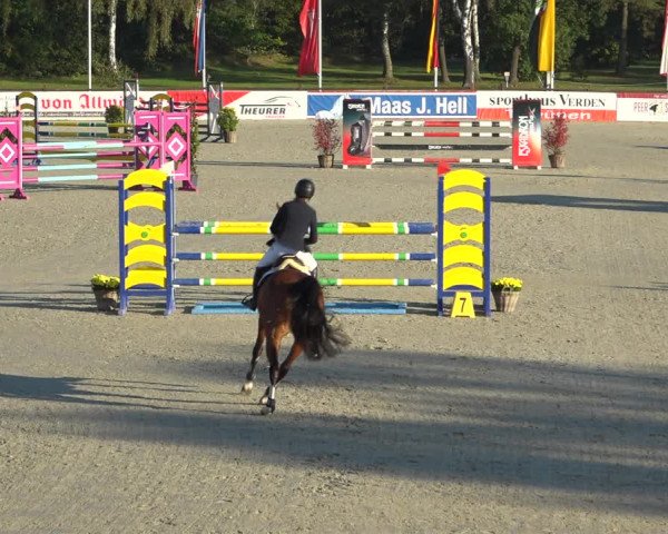 Reitturnier Westergellersen 2021