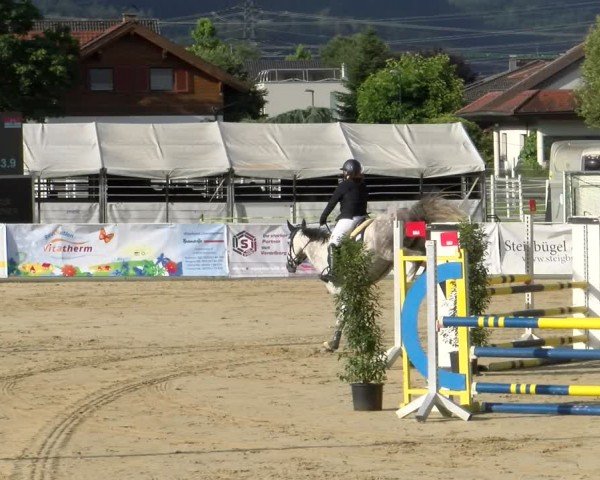 Reitturnier Rankweil 2024
