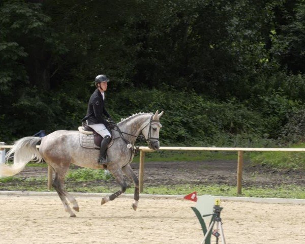 Reitturnier Heddesheim 2024