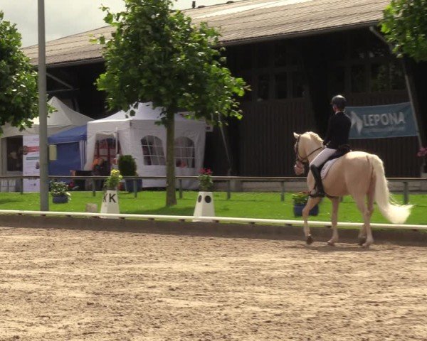 Reitturnier Fröndenberg 2024