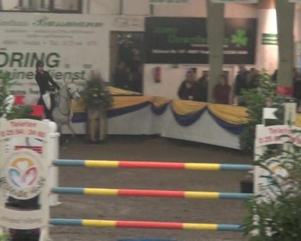 Reitturnier Vreden 2013